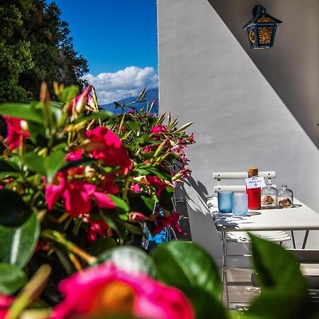 Donedua B&B Vico Equense Eksteriør billede