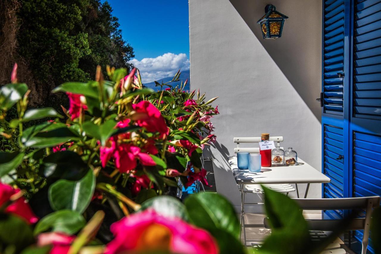Donedua B&B Vico Equense Eksteriør billede
